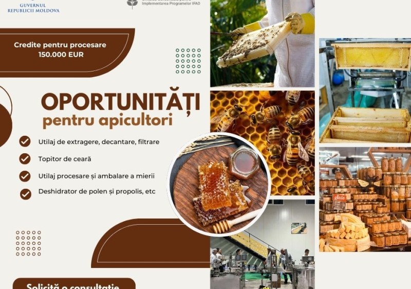 Valorifică-ți potențialul APICOL! E șansa TA!