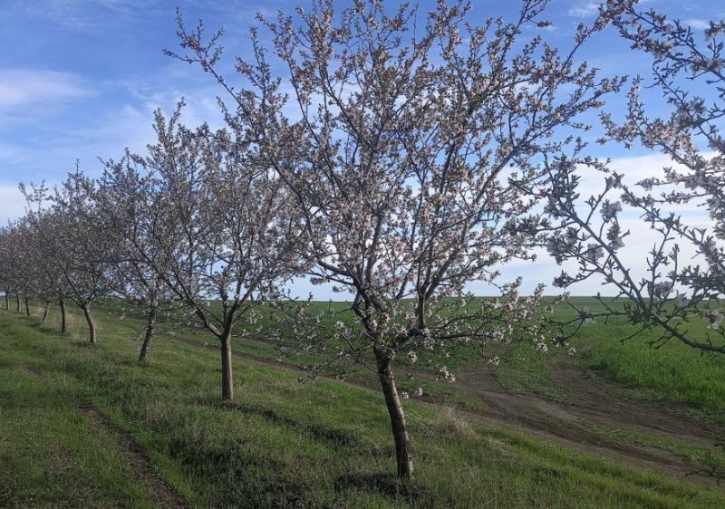 Ludmila Sert, beneficiară UCIP IFAD: „Procesarea ne-a oferit independență”