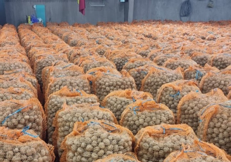 Ghenadie Dumitrașco, beneficiar IFAD: „După ce am instalat propria linie de sortare a nucilor, lucrăm mai ușor și mai eficient”