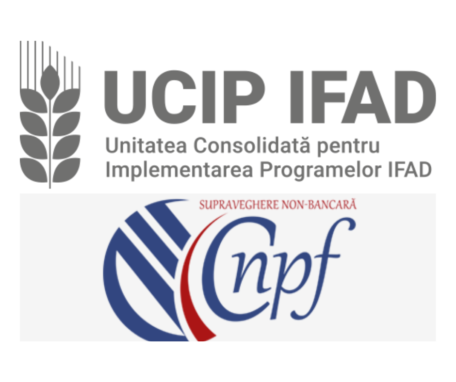 CNPF și UCIP IFAD au încheiat un acord de colaborare destinat fortificării capacităților sectorului AEÎ