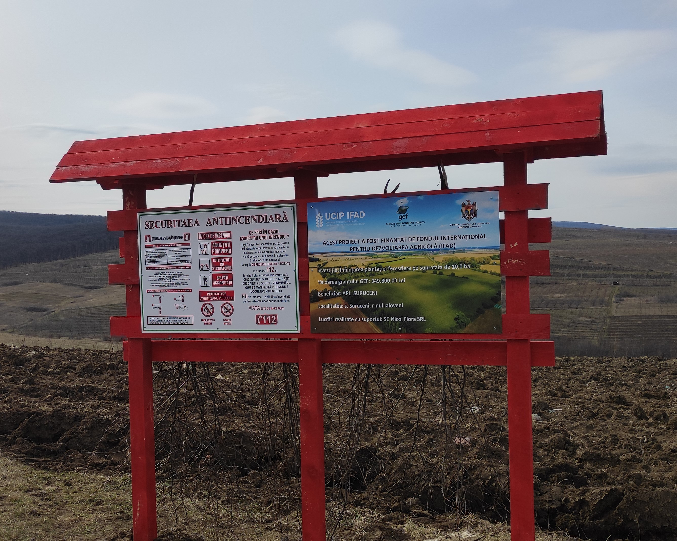 Înființarea a 217,0 ha de perdele și plantațiilor forestiere de protecție