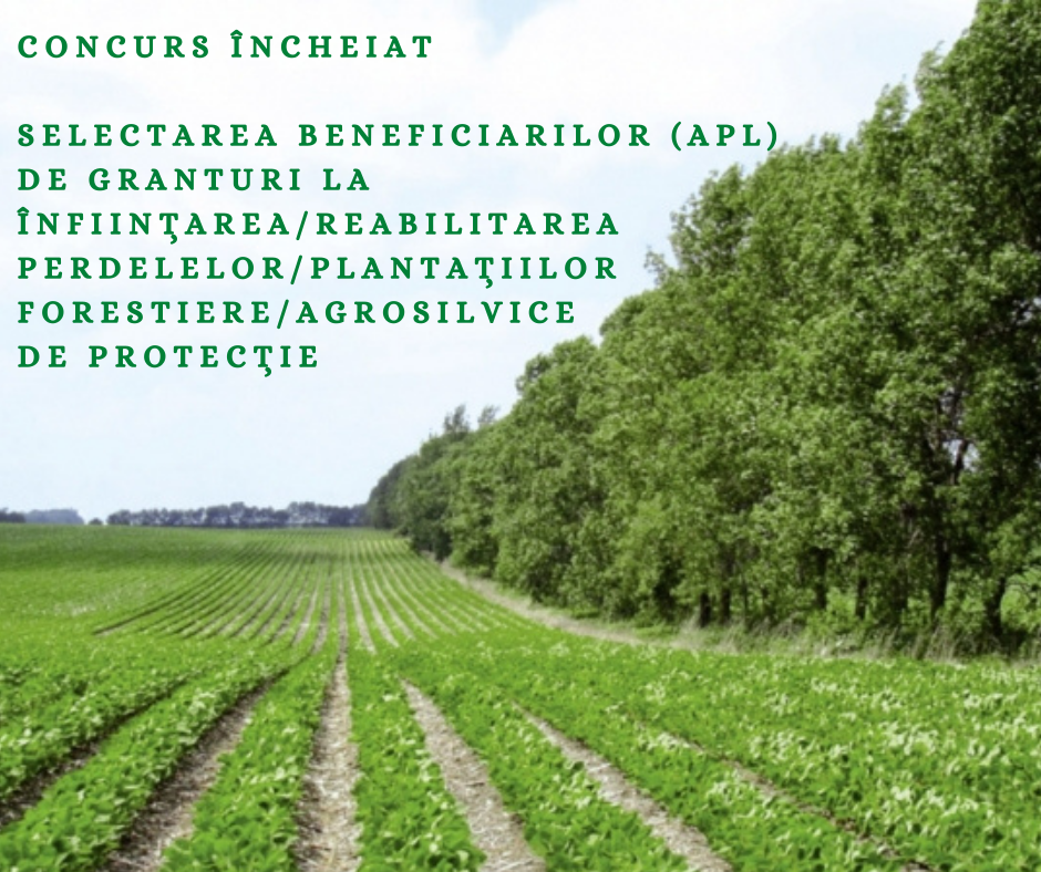 Depunerea cererilor pentru selectarea beneficiarilor (APL) de granturi la înființarea/reabilitarea perdelelor/plantațiilor forestiere/agrosilvice de protecție a luat sfârșit