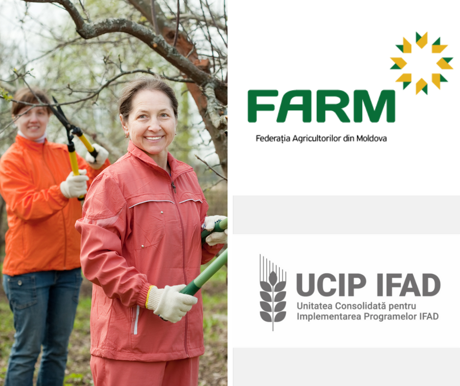 Cooperare fructuoasă dintre Unitatea Consolidată pentru Implementarea Programelor IFAD și Federația Agricultorilor din Republica Moldova
