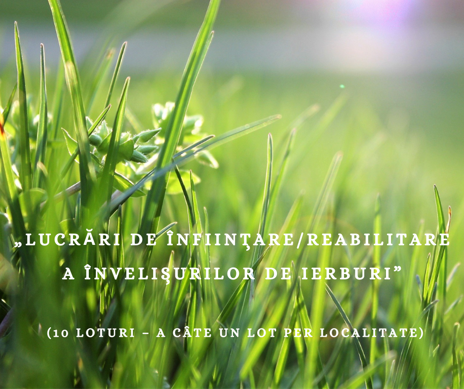 Invitație la licitație