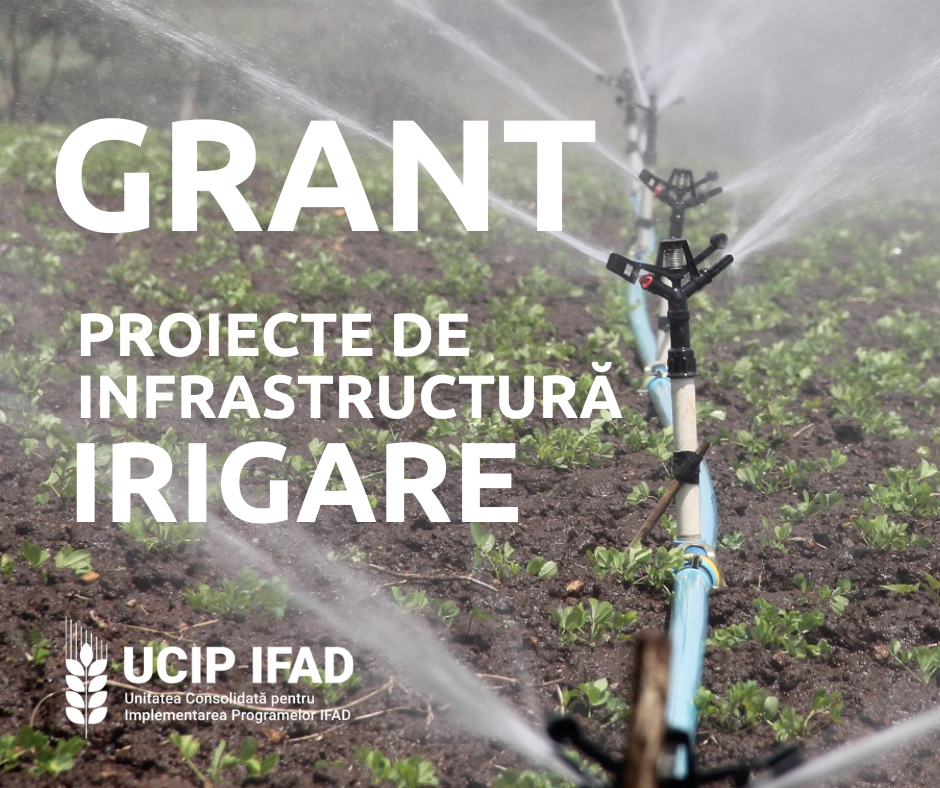 Fermierii se pregătesc pentru viitor: Instruire în irigare și practici adaptive