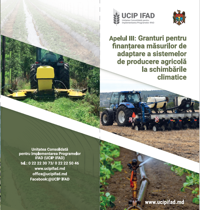 10 antreprenori vor beneficia de suport sub formă de granturi nerambursabile,  acordat de UCIP IFAD