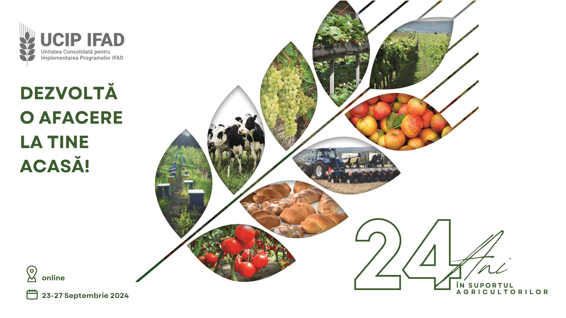 Sărbătorim împreună 24 de ani de realizări UCIP IFAD