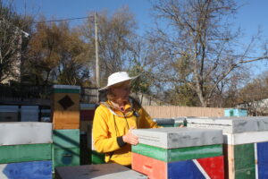 Valentina Pănuță, apicultoare: Încurajez femeile să profite de sprijinul IFAD pentru a-și dezvolta propriile afaceri