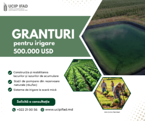 Irigăm succesul, cultivăm profitul!