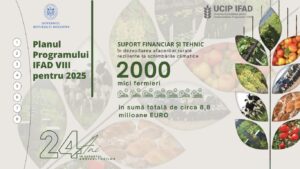Planurile UCIP IFAD pentru 2025: circa 8,8 milioane euro sprijin financiar și tehnic pentru circa 2000 de fermieri
