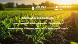 Parteneriat dintre UCIP IFAD și Rețeaua Națională de Dezvoltare Rurală LEADER pentru sprijinirea dezvoltării economice a producătorilor agricoli