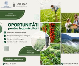 Șansă unică de a-ți valorifica potențialul agricol în LEGUMICULTURĂ!