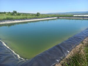 Experții UCIP IFAD  în vizită la Florițoaia Veche în contextul inițierii proiectului de irigare care va deservi 35 de fermieri