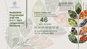 UCIP IFAD – Rezultate înregistrate în primul semestru al anului 2025