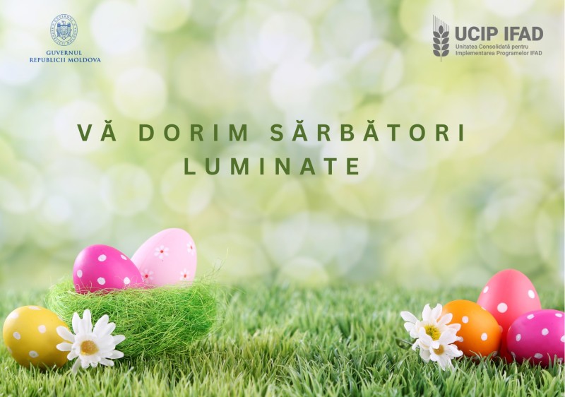 Sărbători Luminate