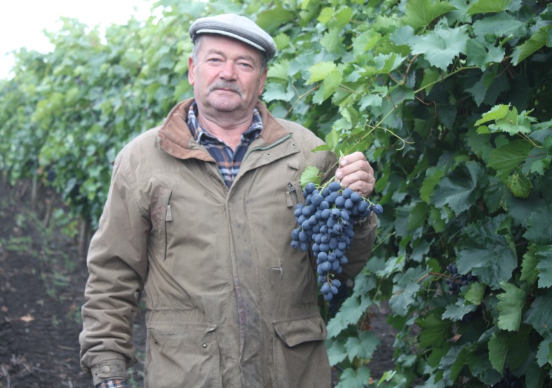 Serghei Casian: „Grantul IFAD pentru irigarea viței-de-vie este primul și unicul obținut după 25 de ani de muncă în agricultură. Sper, că nu este și ultimul”